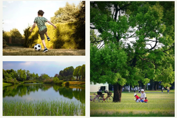 xc sports(中国区)-官方网站