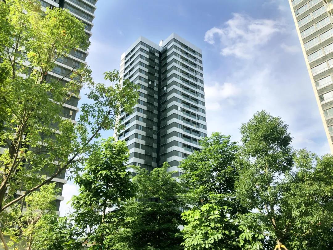 xc sports(中国区)-官方网站