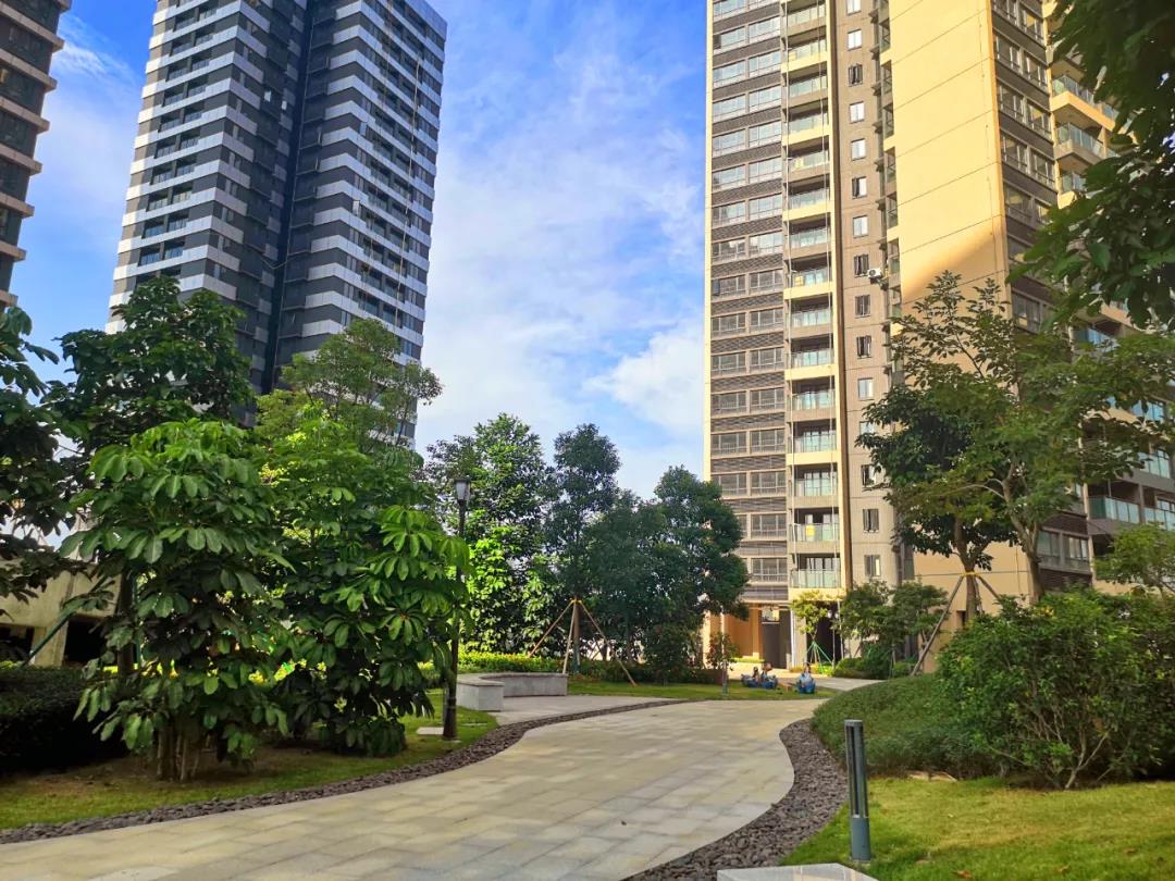 xc sports(中国区)-官方网站